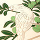 Dove in Olive Tree Folded Holiday Cards Image 2 of 3